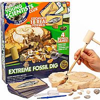 Fossil Dig Extreme