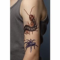 PB Temporary Tattoos: Bugs 