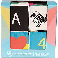 Wimmer Ferguson Mind Cubes 
