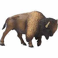 Bison