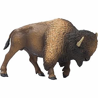 Bison 