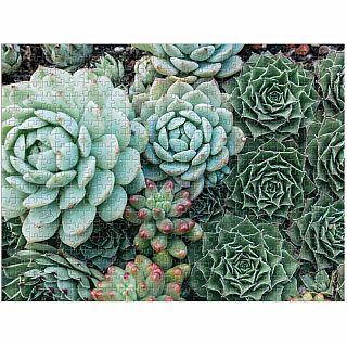 Succulent Garden 500 Piece Double Sided Jigsaw Puzzle