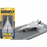  F-14 Jolly Rogers Plane with Runway