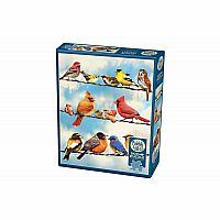 Birds on a Wire Puzzle