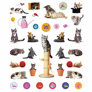Eyelike Stickers: Kittens Paperback