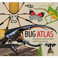 HB Bug Atlas 
