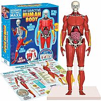 Interactive Human Body