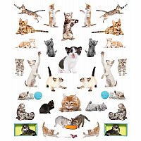 Eyelike Stickers: Kittens Paperback