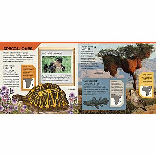 Animal Atlas Hardback