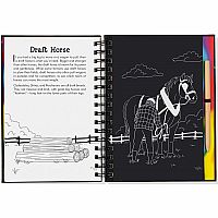 Scratch & Sketch Horses Hardback