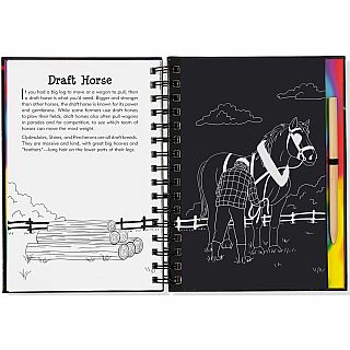 Scratch & Sketch Horses Hardback