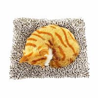 Mini Orange Tabby Cat