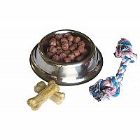Dog Bowl, Food, and Chew Toy