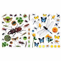 Bugs Eyelike Stickers Paperback