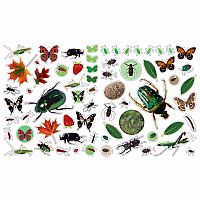 Bugs Eyelike Stickers Paperback
