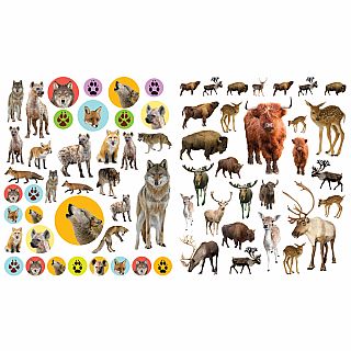 Eyelike Stickers-Wild Animals Paperback