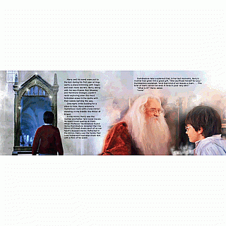 Harry Potter: The Wand Chooses the Wizard Hardback