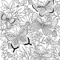 Follow Your Dreams Adult Coloring Book