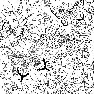 Follow Your Dreams Adult Coloring Book