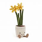 Amuseable Daffodil