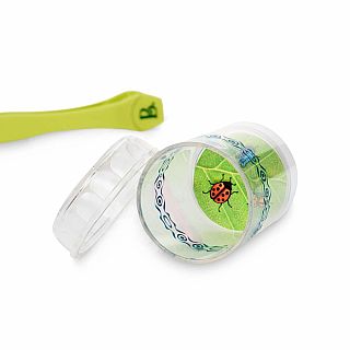 Bug Bungalow Insect Catching Kit