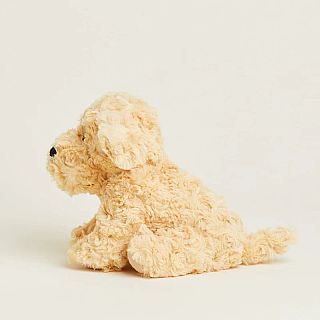 Golden Dog Warmies Junior 