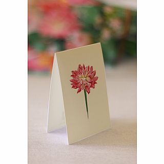 Dear Dahlia Popup Card 