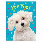 For You! White Dog Enclosure Card