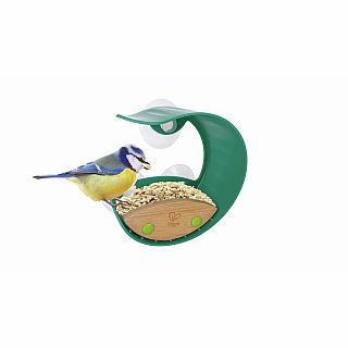 Window Bird Feeder 