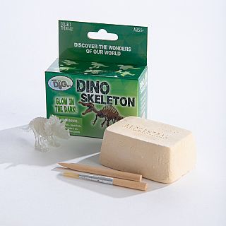 Glow Dino Skeleton Dig Kit - Small