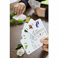 Foragers Playing Cards