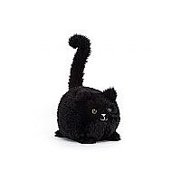 Black Kitten Caboodle