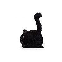 Black Kitten Caboodle 