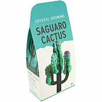 Saguaro Cactus Crystal Growing Kit