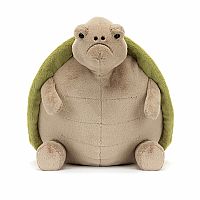 Timmy Turtle Amphibifriends 