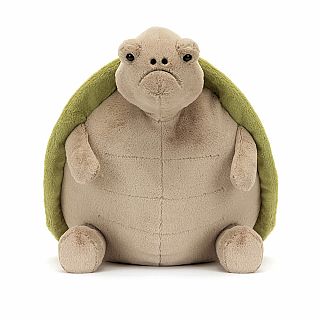 Timmy Turtle Amphibifriends 