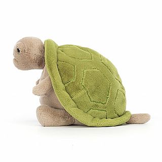 Timmy Turtle Amphibifriends 