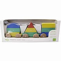 Tegu Magnetic Shape Train - Rainbow