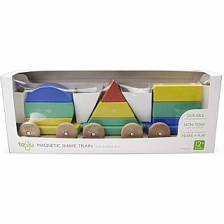 Tegu Magnetic Shape Train - Rainbow