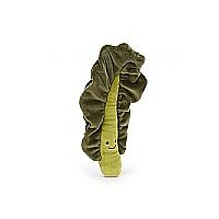Kale Leaf Vivasious Vegetable 