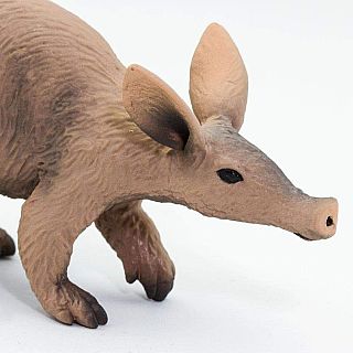 Aardvark