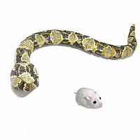 Anaconda and Mouse Bundle Pack