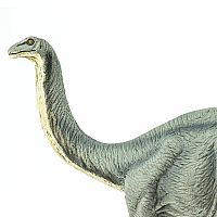 Apatosaurus 