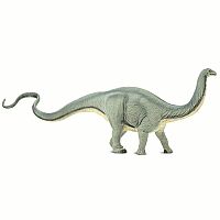 Apatosaurus 