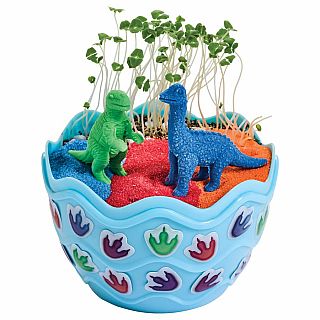 Dinosaur Mini Garden