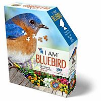 I Am Bluebird 300