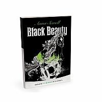 Black Stallion Horse and Book Set 
