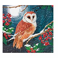 Barn Owl Crystal Art Card Kit