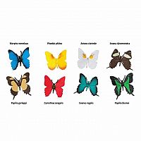 Toob - Butterflies