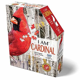 I Am Cardinal 300